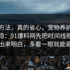 小众方法，真的省心，宠物养护这样做最稳：91爆料网先把时间线把真相摆出来明白，多看一眼就能避坑