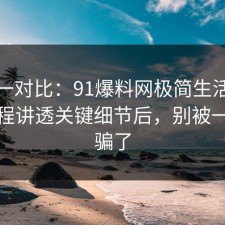 数据一对比：91爆料网极简生活这波把流程讲透关键细节后，别被一句话骗了