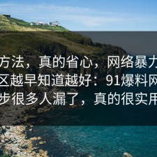 小众方法，真的省心，网络暴力的常见误区越早知道越好：91爆料网这一步很多人漏了，真的很实用