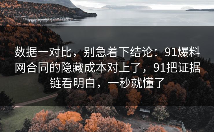 数据一对比，别急着下结论：91爆料网合同的隐藏成本对上了，91把证据链看明白，一秒就懂了  第1张