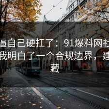 别再逼自己硬扛了：91爆料网社保这次让我明白了一个合规边界，建议收藏