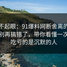 看似不起眼：91爆料网断舍离的关键细节别再搞错了，带你看懂一次，最吃亏的是沉默的人