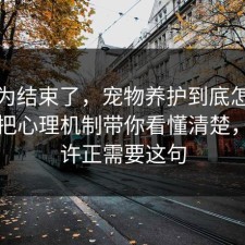 你以为结束了，宠物养护到底怎么回事？把心理机制带你看懂清楚，你也许正需要这句