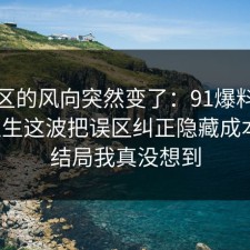 评论区的风向突然变了：91爆料网餐饮卫生这波把误区纠正隐藏成本后，结局我真没想到