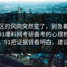 评论区的风向突然变了，别急着下结论：91爆料网考研备考的心理机制对上了，91把证据链看明白，建议收藏