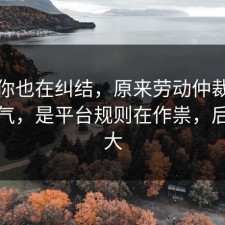 如果你也在纠结，原来劳动仲裁不是看运气，是平台规则在作祟，后劲太大