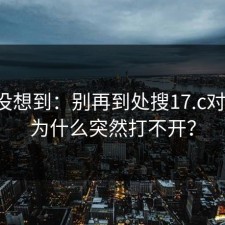 我真没想到：别再到处搜17.c对比了：为什么突然打不开？