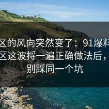评论区的风向突然变了：91爆料网理财误区这波捋一遍正确做法后，千万别踩同一个坑