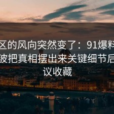 评论区的风向突然变了：91爆料网停车这波把真相摆出来关键细节后，建议收藏
