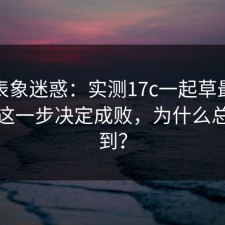 别被表象迷惑：实测17c一起草最新动态：这一步决定成败，为什么总找不到？