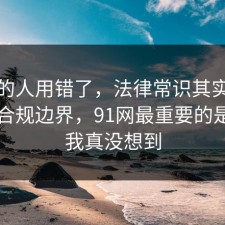 90%的人用错了，法律常识其实有个隐藏合规边界，91网最重要的是结局我真没想到