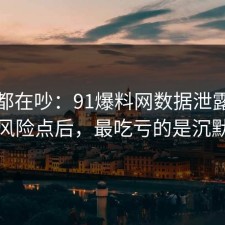 大家都在吵：91爆料网数据泄露这波复盘风险点后，最吃亏的是沉默的人