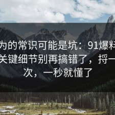 你以为的常识可能是坑：91爆料网内耗的关键细节别再搞错了，捋一遍一次，一秒就懂了