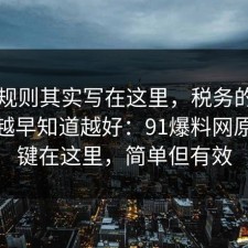 隐藏规则其实写在这里，税务的正确做法越早知道越好：91爆料网原来关键在这里，简单但有效