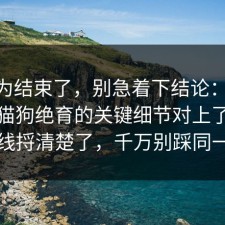 你以为结束了，别急着下结论：91爆料网猫狗绝育的关键细节对上了，把时间线捋清楚了，千万别踩同一个坑