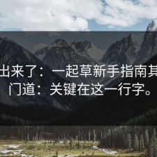 被扒出来了：一起草新手指南其实有门道：关键在这一行字。