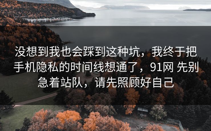 没想到我也会踩到这种坑，我终于把手机隐私的时间线想通了，91网 先别急着站队，请先照顾好自己